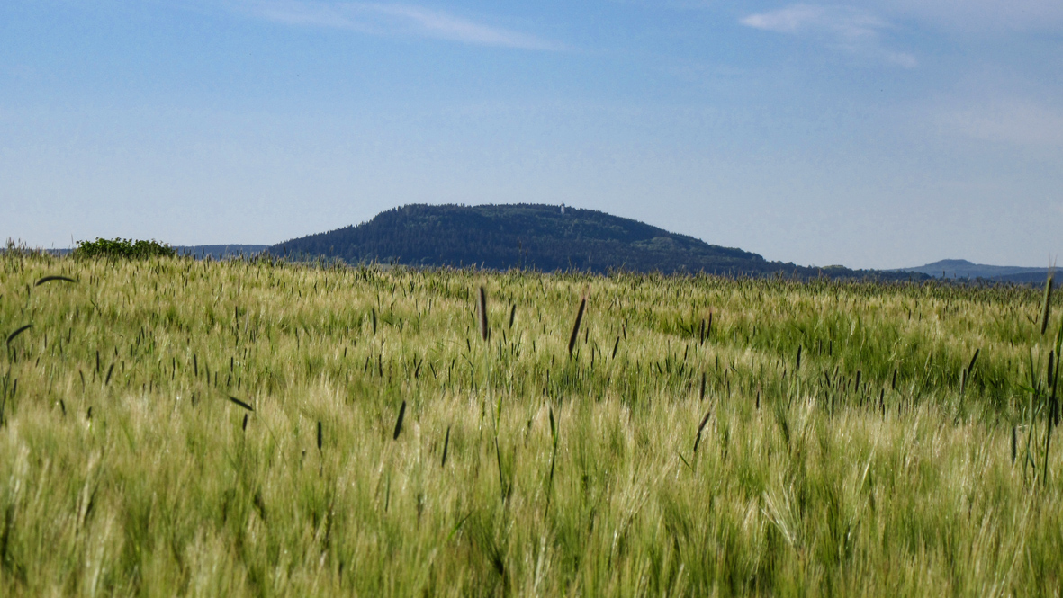 Der 832 Meter hohe Pöhlberg (hier aus Richtung Chemnitz kommend gesehen) ist eine gute Orientierungshilfe im Annaberger Raum. Foto: Chris Bergau/bergau-media.com