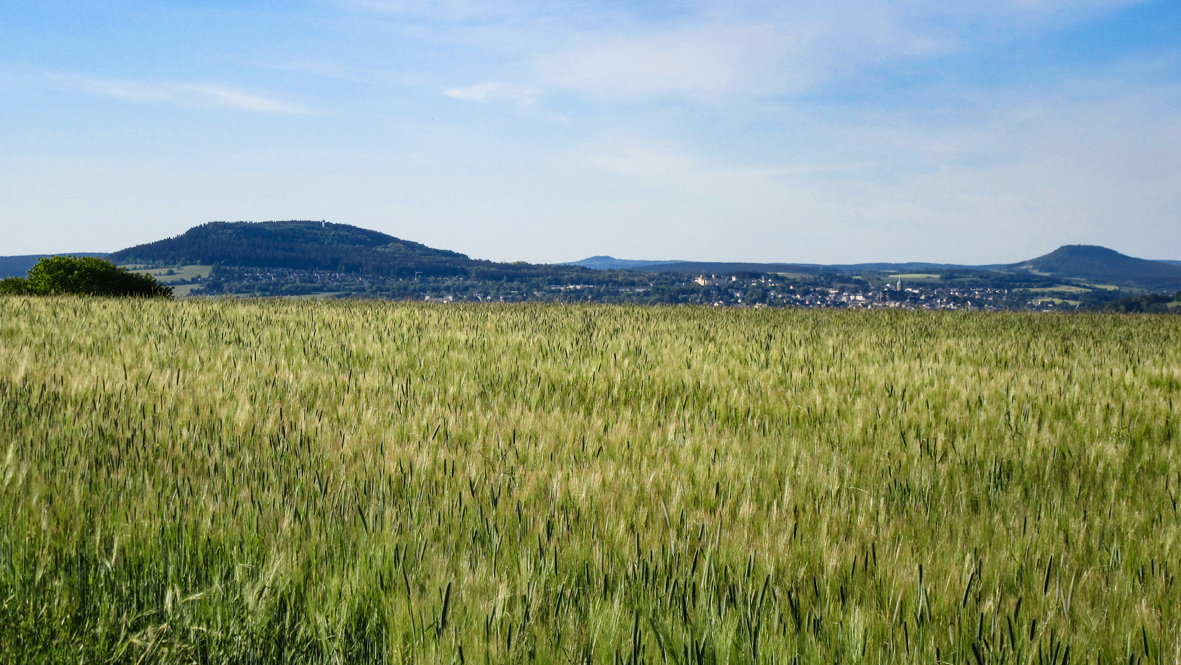 Herrliches Erzgebirgspanorama. Im Vordergrund der 832 Meter hohe Pöhlberg, mit der Bergstadt Annaberg-Buchholz. Weiter rechts der 965 Meter hohe Velký Špičák (Großer Spitzberg) im böhmischen Erzgebirge und ganz rechts, der 898 Meter hohe Bärenstein. Foto: Chris Bergau/bergau-media.com