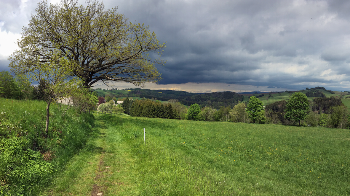 Auf dem Hagebuttenweg zwischen Königswalde und Geyersdorf. Foto: Chris Bergau