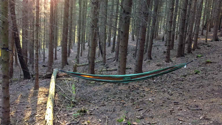 Mit der Hängematte im Wald/ With the hammock in the forest.