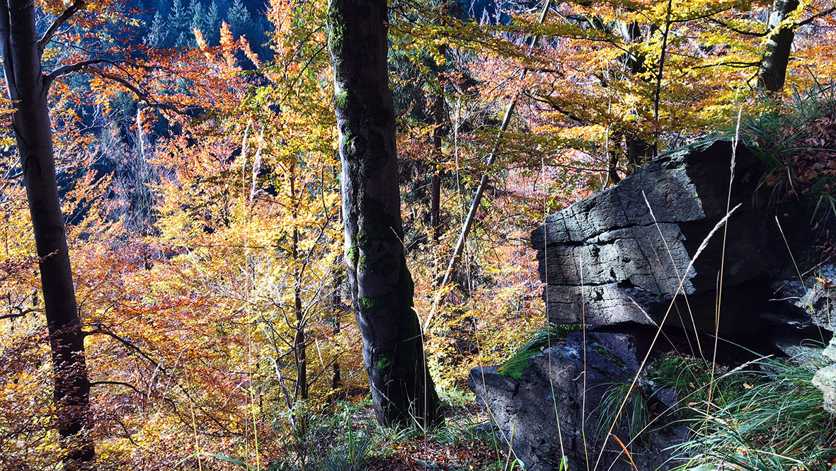 Herbstlandschaft im Gebirge / Autumn landscape in the mountains.