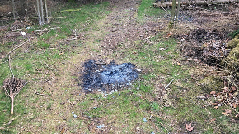 Illegale Feuerstellen im Wald.