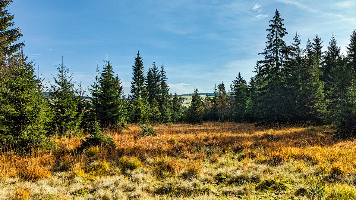 Hike around Boží Dar (Gottesgab). Photo: Chris Bergau