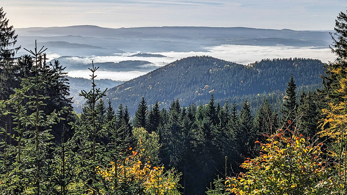 The Bohemian Ore Mountains near Von Suchá (Dürnberg). Photo: Chris Bergau