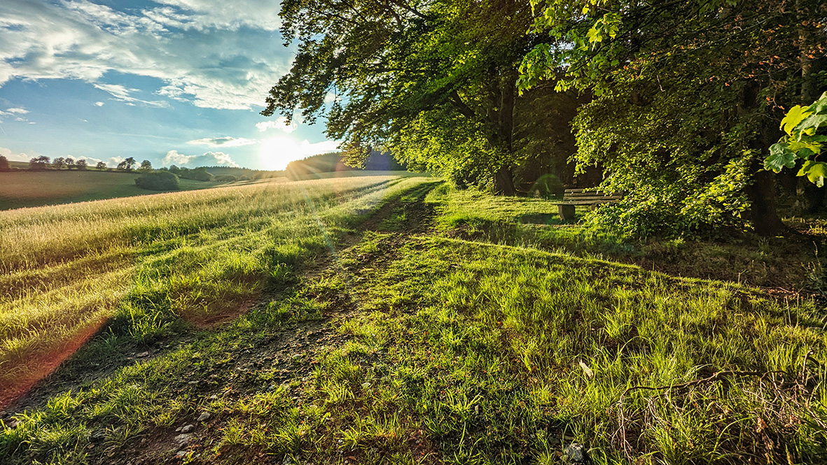 Landscape near Sehma. Photo: Chris Bergau