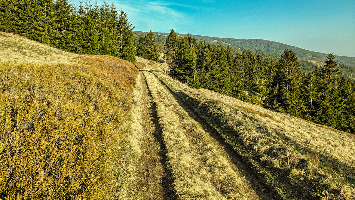 The old historic ridge path near Boží Dar (Gottesgab) in the Bohemian part of the Ore Mountains. Photo: Chris Bergau