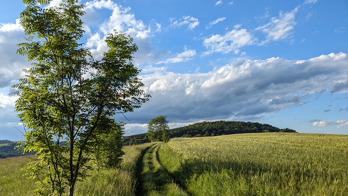 Towards the Bucheberg. Photo: Chris Bergau