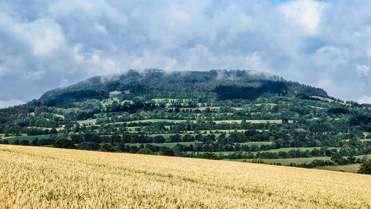 View of the 832 meter high Pöhlberg. Photo: Chris Bergau