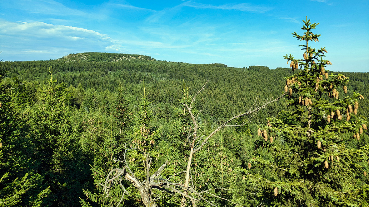 View from the 1,037-meter-high Na skalách (At the Rock) of the 1,094-meter-high Meluzína (Whirlstone). Photo: Chris Bergau.